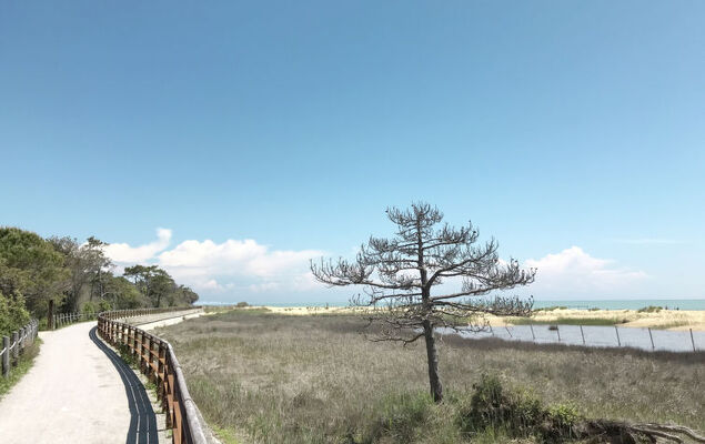 Villa Luca - Photo 30