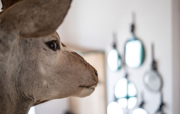 Katschberg 8 - Photo 33