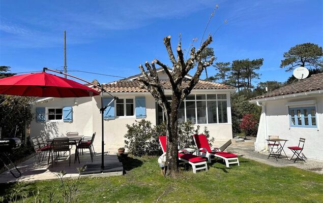 Petite Ensouleihado - Photo 22