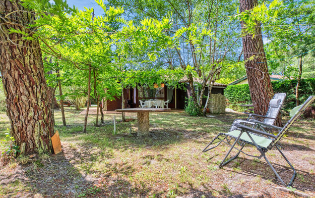 Marina de Talaris - Photo 1