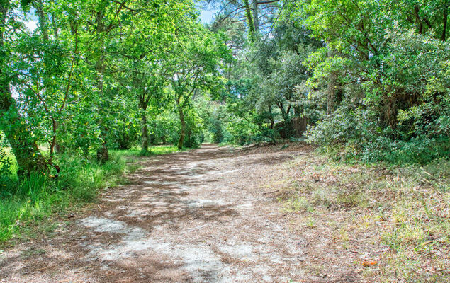 Marina de Talaris - Photo 27