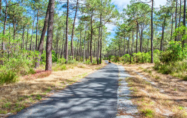 Marina de Talaris - Photo 28