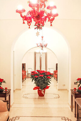 Tenuta Nucci - Photo 9