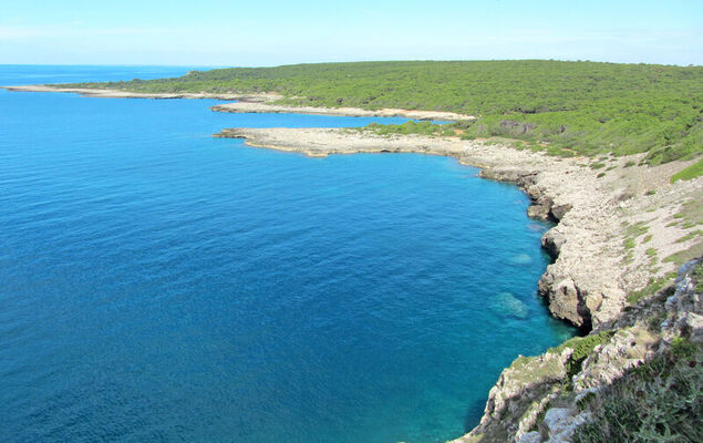 Tenuta Nucci - Photo 28